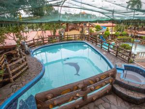 un delfino che nuota in una piscina in un parco a tema di OYO 588 Sunrock Resort ad Antipolo