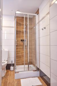 a shower with a glass door in a bathroom at Apartamenty Domek na Roztoczu in Horyniec +46 photos