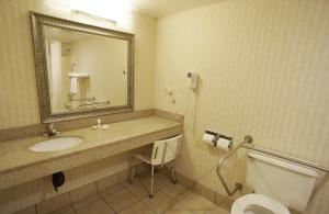 Koupelna v ubytování Red Roof Inn Gurnee - Waukegan