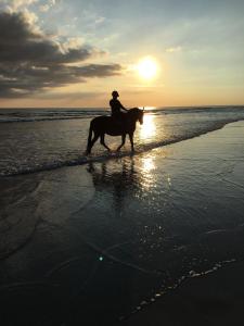 een persoon op een paard op het strand bij TY JACQ in Tréguennec