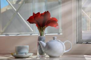 uma flor vermelha num vaso ao lado de um bule de chá em B&B Lapillus em Pompeia