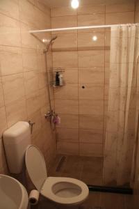 y baño con ducha, aseo y lavamanos. en Apartman NeSa Boracko jezero, en Konjic