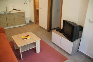 Kuchyň nebo kuchyňský kout v ubytování Apartman NeSa Boracko jezero