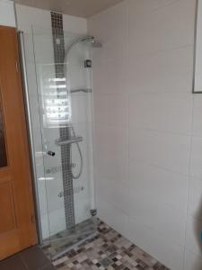 W łazience znajduje się prysznic ze szklanymi drzwiami. w obiekcie Ferienwohnung Katzschner w mieście Drehna