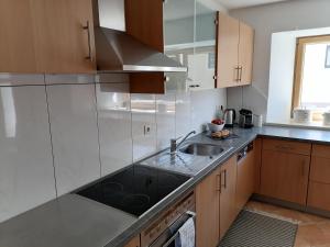 kuchnia ze zlewem i kuchenką w obiekcie Living Apart Haslwanter Ferienwohnung w mieście Haiming