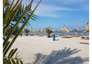 a beach with many umbrellas and chairs and the ocean at Apartament Passion in Mamaia Sat/Năvodari