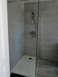 y baño con ducha y puerta de cristal. en Maison de campagne "Beun'aise", en Val-du-Mignon