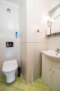a bathroom with a toilet and a sink at Dom z widokiem na jezioro Tajty - Wilkasy Zalesie in Giżycko +7 photos