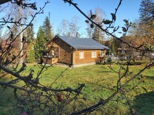 una piccola casa in un campo con un cortile di Chata Olimpijki a Karpacz