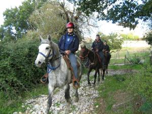 Attività di equitazione presso l'agriturismo o nelle vicinanze