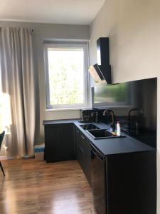 Kuchyň nebo kuchyňský kout v ubytování Business Center