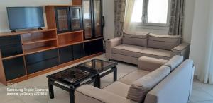 uma sala de estar com um sofá e uma televisão em Achille's apartment em Plataria