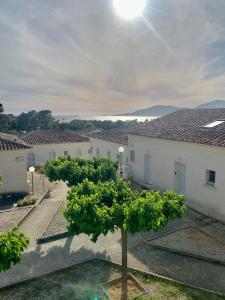 un arbre au milieu d'une cour avec des bâtiments dans l'établissement APPARTEMENT DUPLEX PORTICCIO Centre, à Porticcio