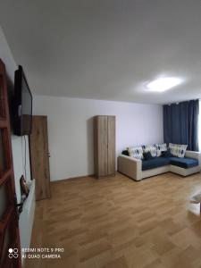 een woonkamer met een bank en een televisie bij Dayly House Apartament Sulina in Sulina