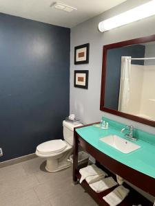 a bathroom with a toilet and a sink and a mirror at Quality Suites in Waldorf