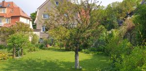 Zahrada ubytování Ferienwohnung Parkstraße