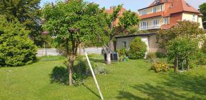 Zahrada ubytování Ferienwohnung Parkstraße