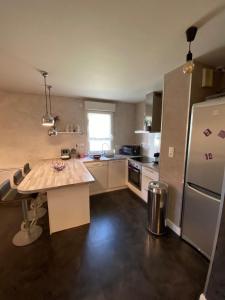 Una cocina o kitchenette en Bel appartement proche Tours centre Bretonneau