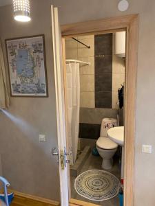 a bathroom with a toilet and a sink at Pervalkos Dainava in Pervalka +18 photos