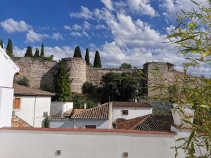 Afbeelding uit fotogalerij van FG Albayzin apartamento deluxe con terraza vistas y parking gratis in Granada