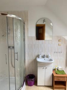 a bathroom with a sink and a shower at Agrojelonki Agroturystyka in Gietrzwałd