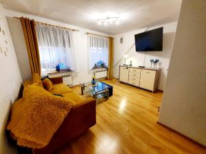 ムロンゴヴォにあるApartament Sprężynkaのソファとテレビのあるリビングルーム