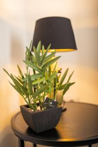 Galeriebild der Unterkunft Elenas Rooms & Apartment in Zagreb