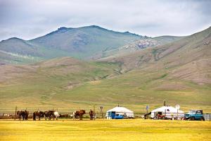 Galeriebild der Unterkunft Mongolian Vision Tours in Ulaanbaatar