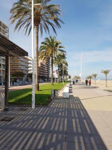 eine Straße mit Palmen und Bürgersteig in der Unterkunft Playa de Gandia-Perla II in Playa de Gandia
