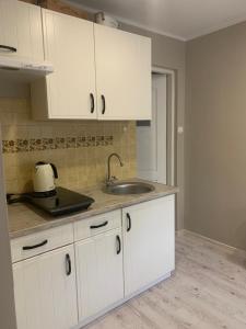 Kuchyň nebo kuchyňský kout v ubytování Domki i Apartamenty El-Piero