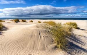 a beach with sand dunes and grass on it at Bed and Bread in Łeba