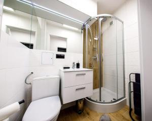 a bathroom with a toilet and a shower at Apartament SHARK w centrum z klimą in Iława