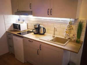a kitchen counter with a sink and a microwave at Chatka u Radka in Ustka