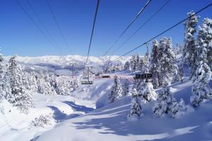 Cobert de Martí during the winter