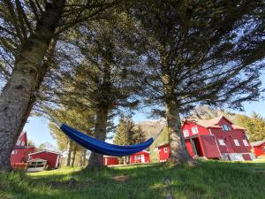 a blue hammock hanging between two trees at Reipå Camping in Reipå