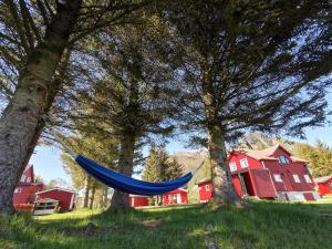 Zahrada ubytování Reipå Camping