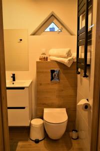 a small bathroom with a toilet and a sink at Rewianka Apartamenty przy samej plaży in Rewa