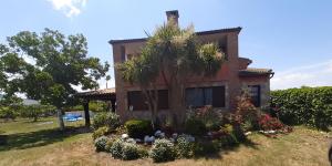 Κήπος έξω από το La Sartén