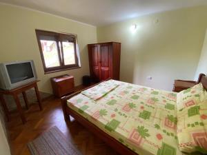ein Schlafzimmer mit einem Bett und einem TV. in der Unterkunft Konaci Nikola Banja Vrujci in Gornja Toplica