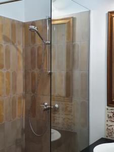 a shower with a glass door in a bathroom at Elisabeth Apartment in Oradea