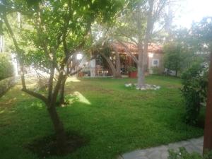 a yard in front of a house with trees at Anna's Apartment and Studio in Artemida