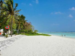 
a beach with palm trees and palm trees at Eleven Trees Maldives in Male City

