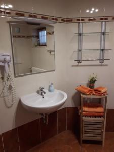 a bathroom with a sink and a mirror at Haus Oberwiesenthal in Kurort Oberwiesenthal +34 photos