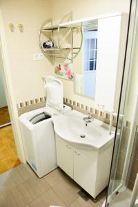 ein Bad mit einem Waschbecken und einem Spiegel in der Unterkunft Apartments SOELEK - Vila Golf in Rogaška Slatina