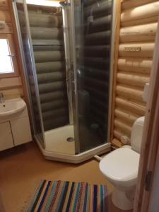 a bathroom with a shower and a toilet at Ellu in Kangasniemi