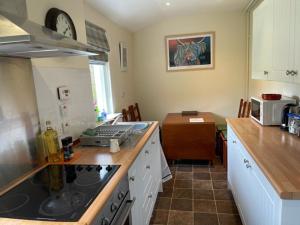 uma cozinha com um lavatório e um fogão forno superior em Jock's Cottage on the Blarich Estate em Rogart