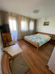 1 dormitorio con cama, mesa y TV en Villa Pontica, en Sofía