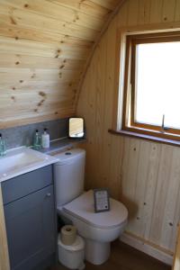 a bathroom with a toilet and a sink and a window at Braeview Glamping in Eyemouth