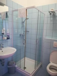 Bilik mandi di Hostel Sveta Ana