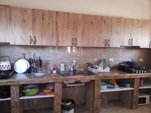 Kuchyň nebo kuchyňský kout v ubytování Guesthouse Achi